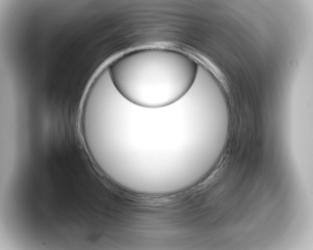 X0000099381332200805081151