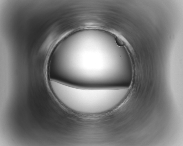 X0000099381333200805081151