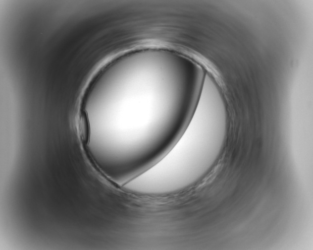 X0000099381334200805081151