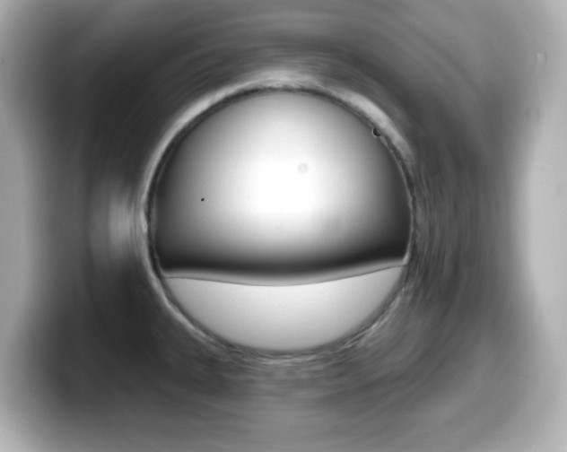 X0000099381335200805081151
