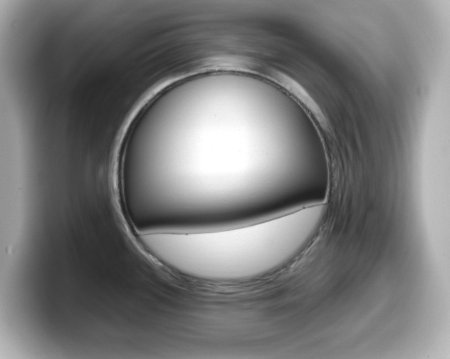 X0000099381339200805081151