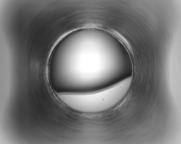 X0000099381340200805081151