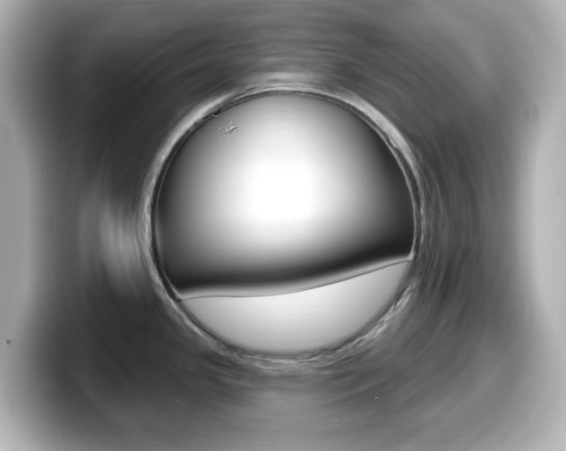 X0000099381341200805081151