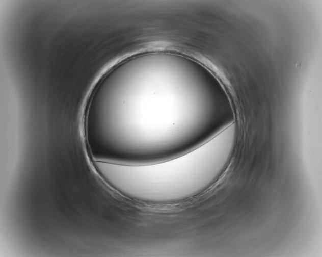 X0000099381342200805081151