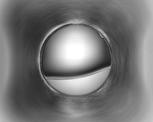 X0000099381343200805081151