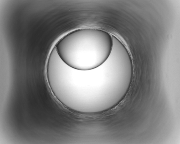 X0000099381344200805081151