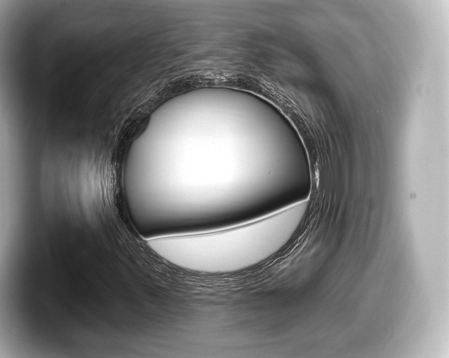 X0000099381347200805081151