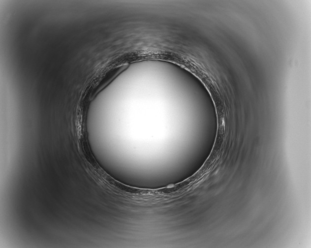 X0000099381348200805081151