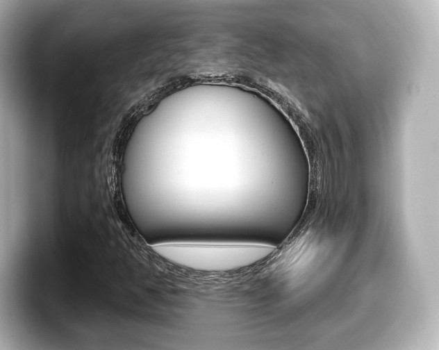 X0000099381350200805081151