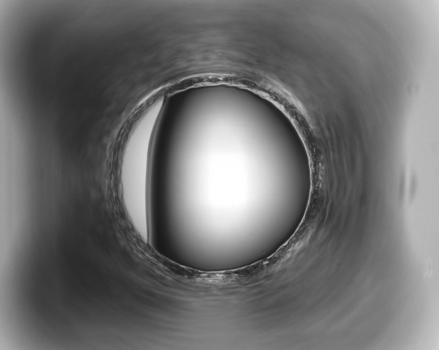 X0000099381352200805081150