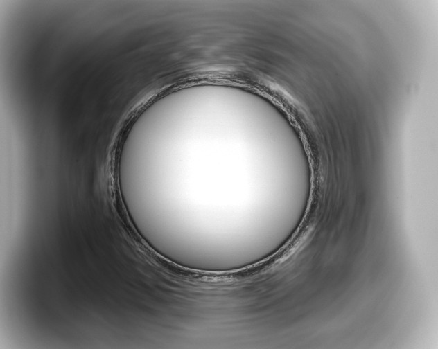 X0000099381354200805081150