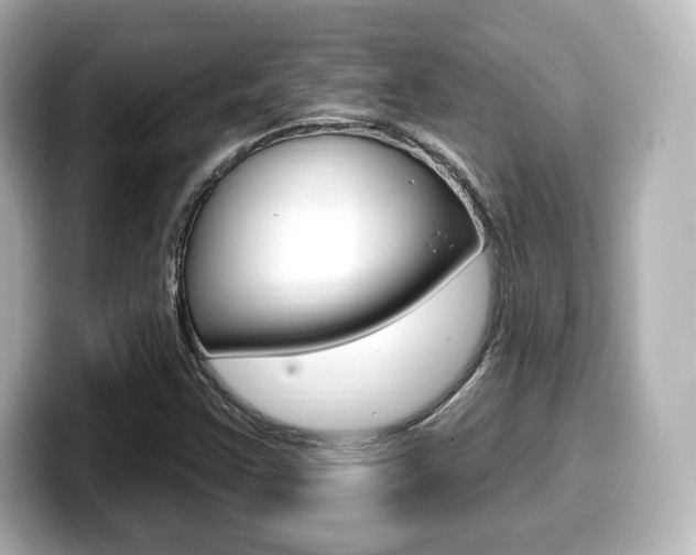 X0000099381355200805081150