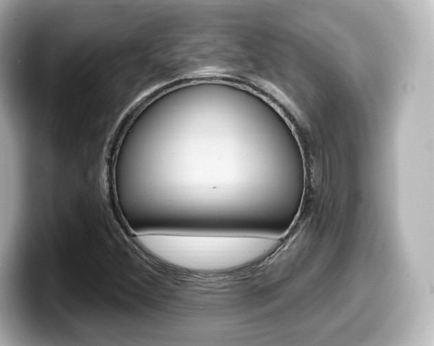 X0000099381356200805081150