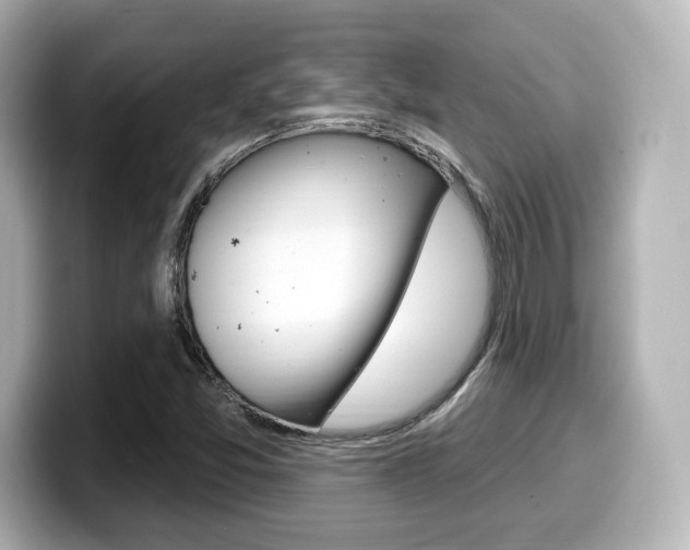 X0000099381357200805081150