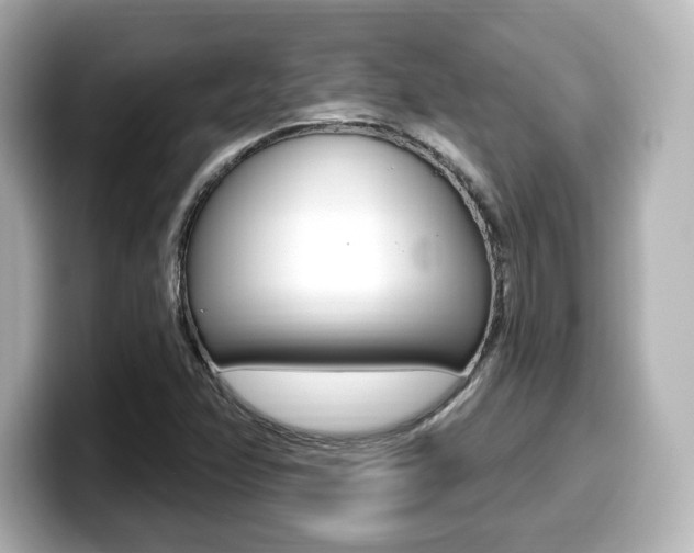 X0000099381358200805081150