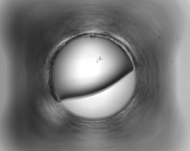 X0000099381359200805081150
