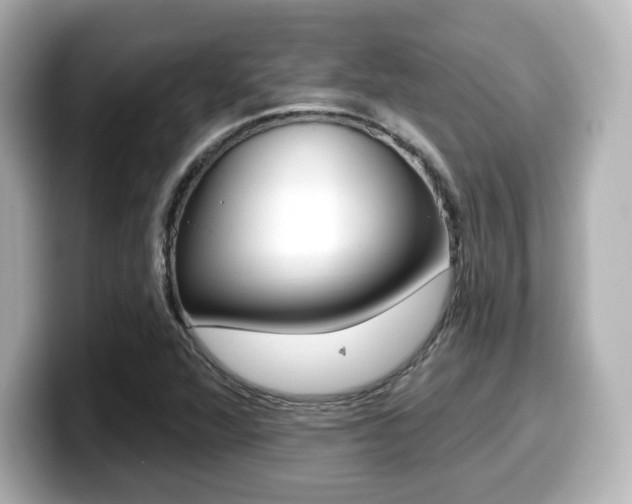 X0000099381360200805081150