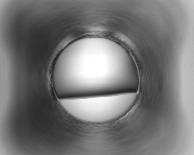 X0000099381362200805081150