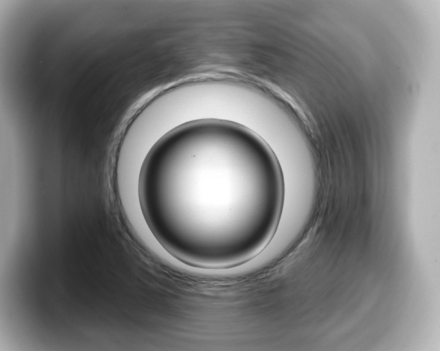 X0000099381363200805081150