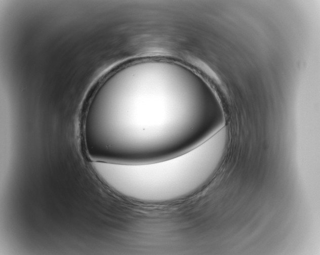 X0000099381364200805081150