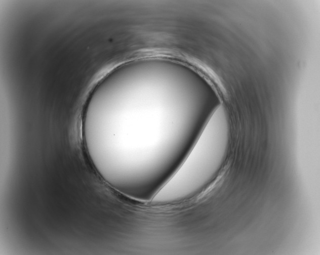 X0000099381365200805081150