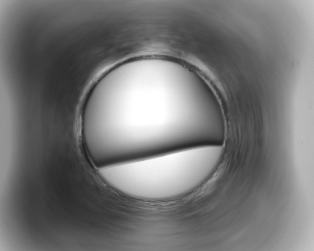 X0000099381366200805081150