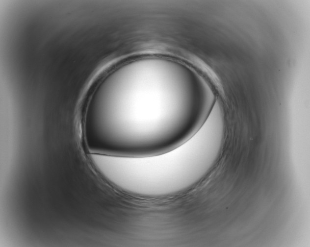 X0000099381368200805081150