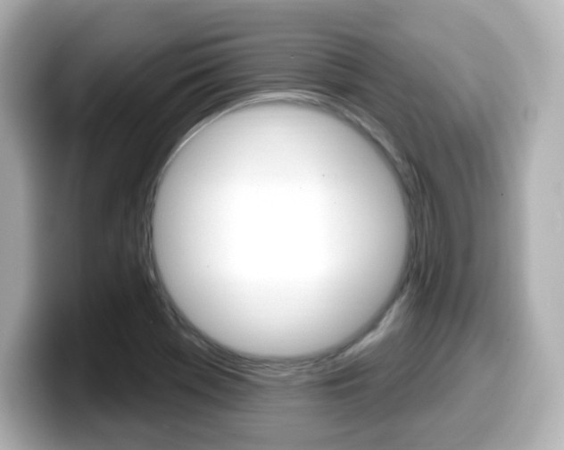 X0000099381369200805081150