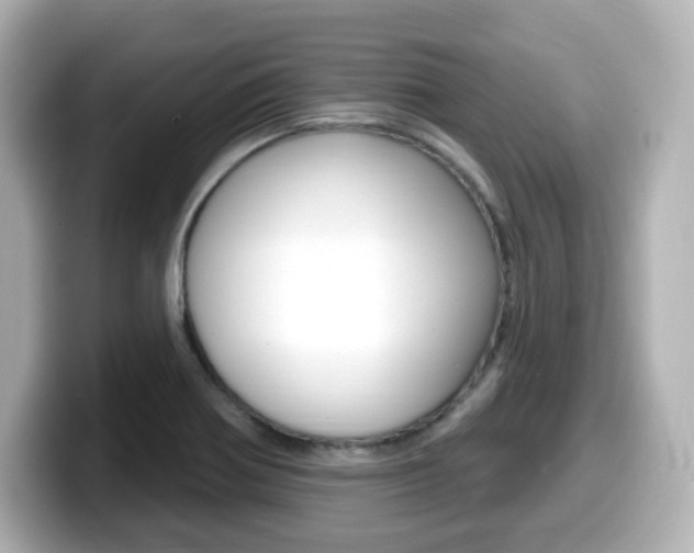 X0000099381370200805081150