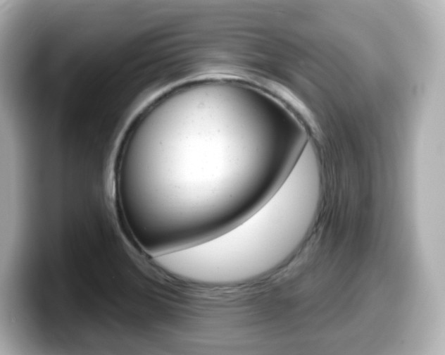 X0000099381372200805081150
