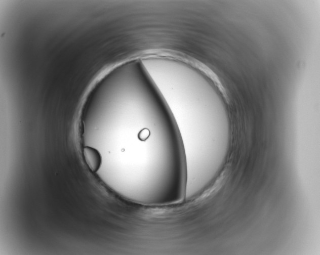 X0000099381373200805081150