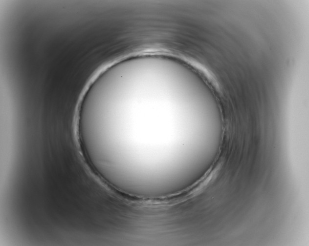 X0000099381374200805081150