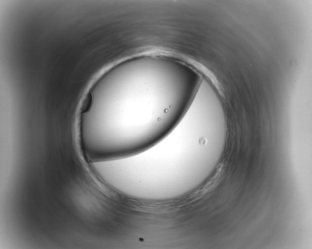 X0000099381375200805081150