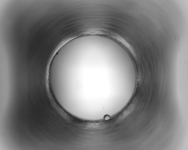 X0000099381378200805081150