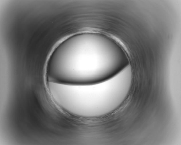 X0000099381379200805081150