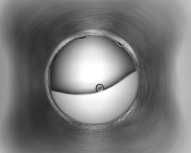 X0000099381381200805081150
