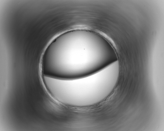X0000099381383200805081150