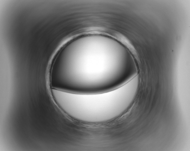 X0000099381384200805081150