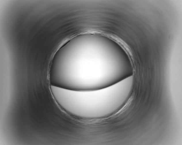 X0000099381385200805081150