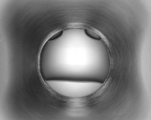 X0000099381386200805081150