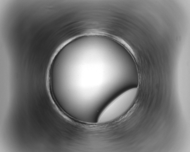 X0000099381387200805081150