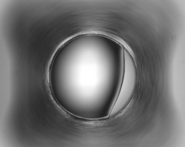 X0000099381388200805081150