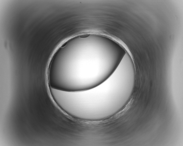 X0000099381389200805081150