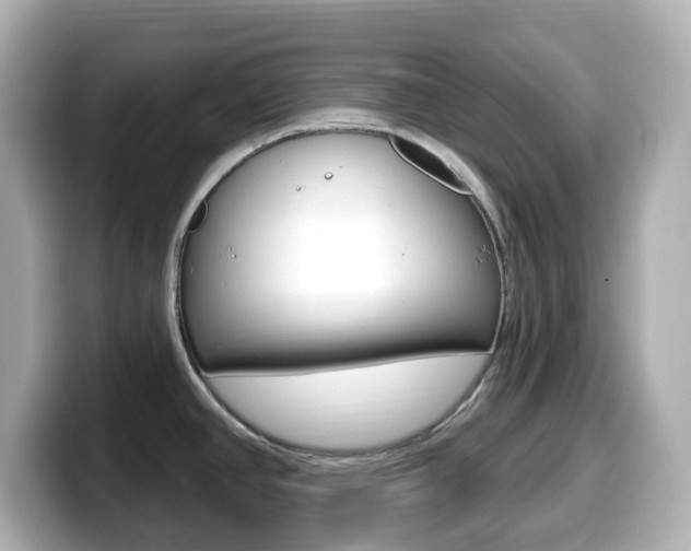 X0000099381390200805081150