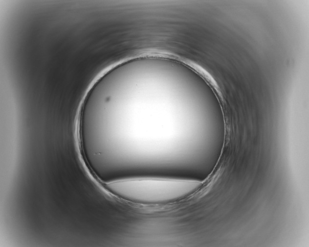 X0000099381391200805081150