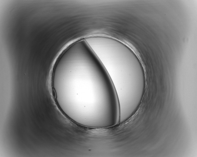 X0000099381392200805081150