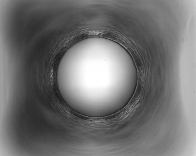 X0000099381394200805081149