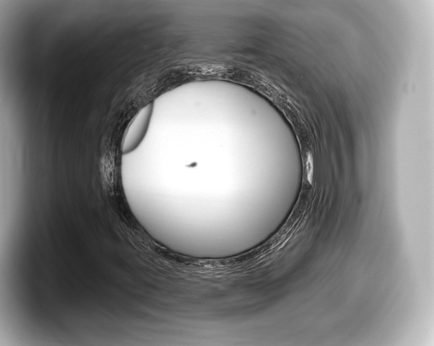 X0000099381395200805081149