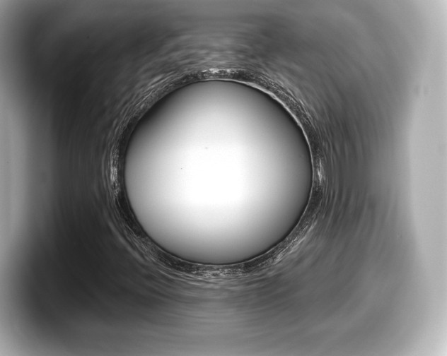 X0000099381396200805081149