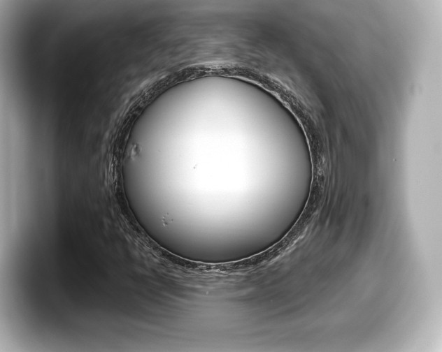X0000099381398200805081149
